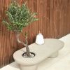 Umělá květina Kave Home Olive 140 cm -fv-interier-25