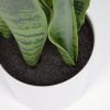 Umělá květina Kave Home Sansevieria -fv-interier-25