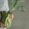 Umělá květina Eucalyptus II. 85 cm -fv-interier-25